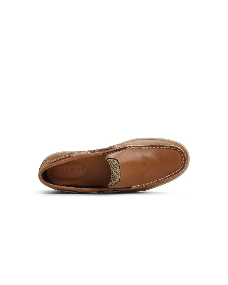 TommyBahama/10417153_160_alt3