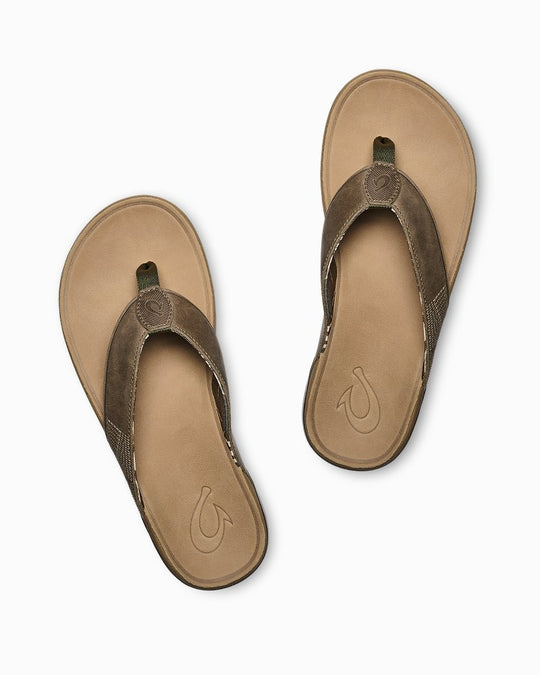 TommyBahama/10465_19311_alt1