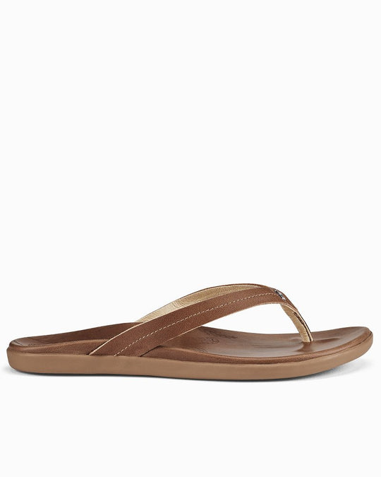 TommyBahama/20436_282_main