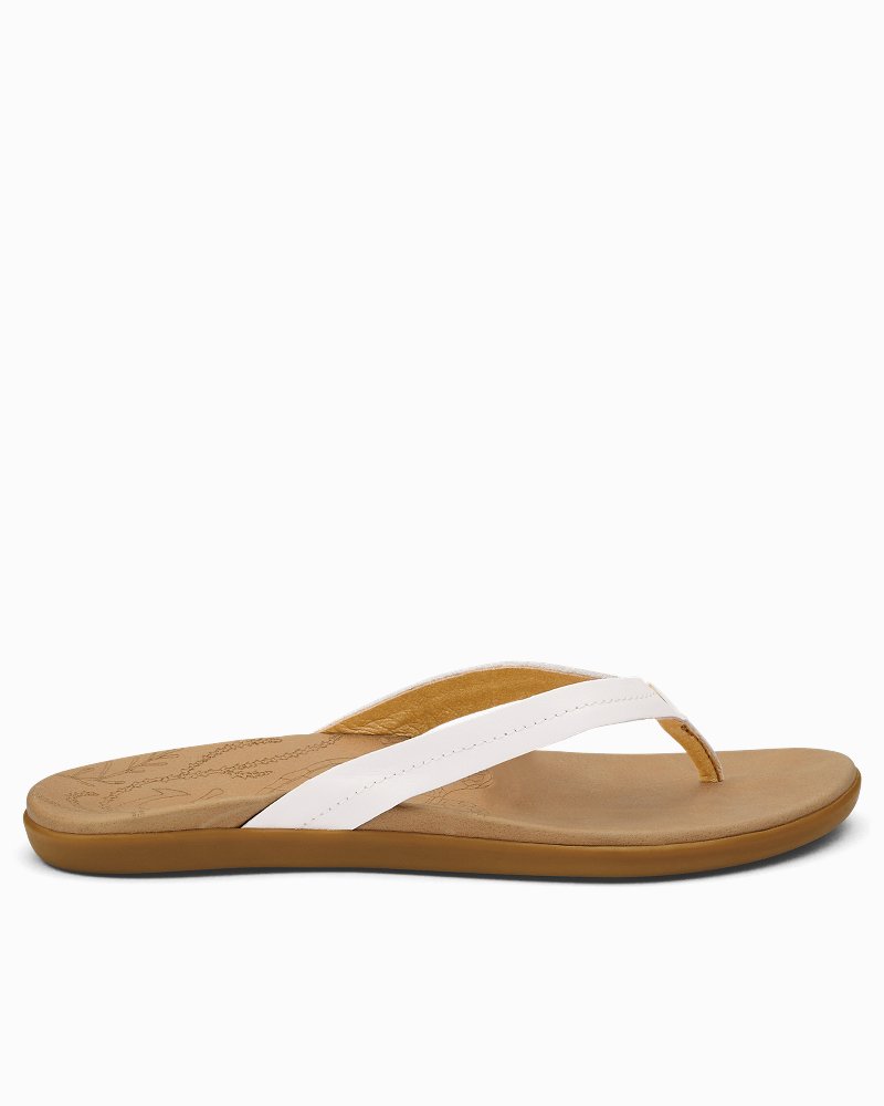 TommyBahama/20436_3220_main