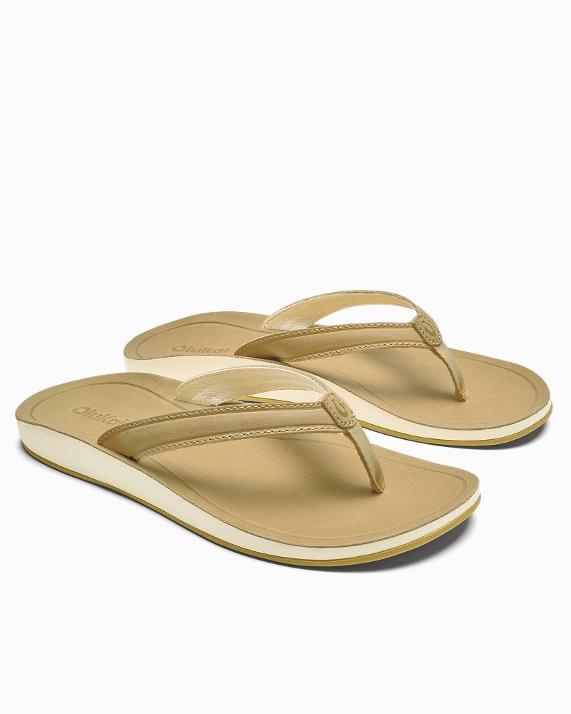 TommyBahama/20532_14442_alt1