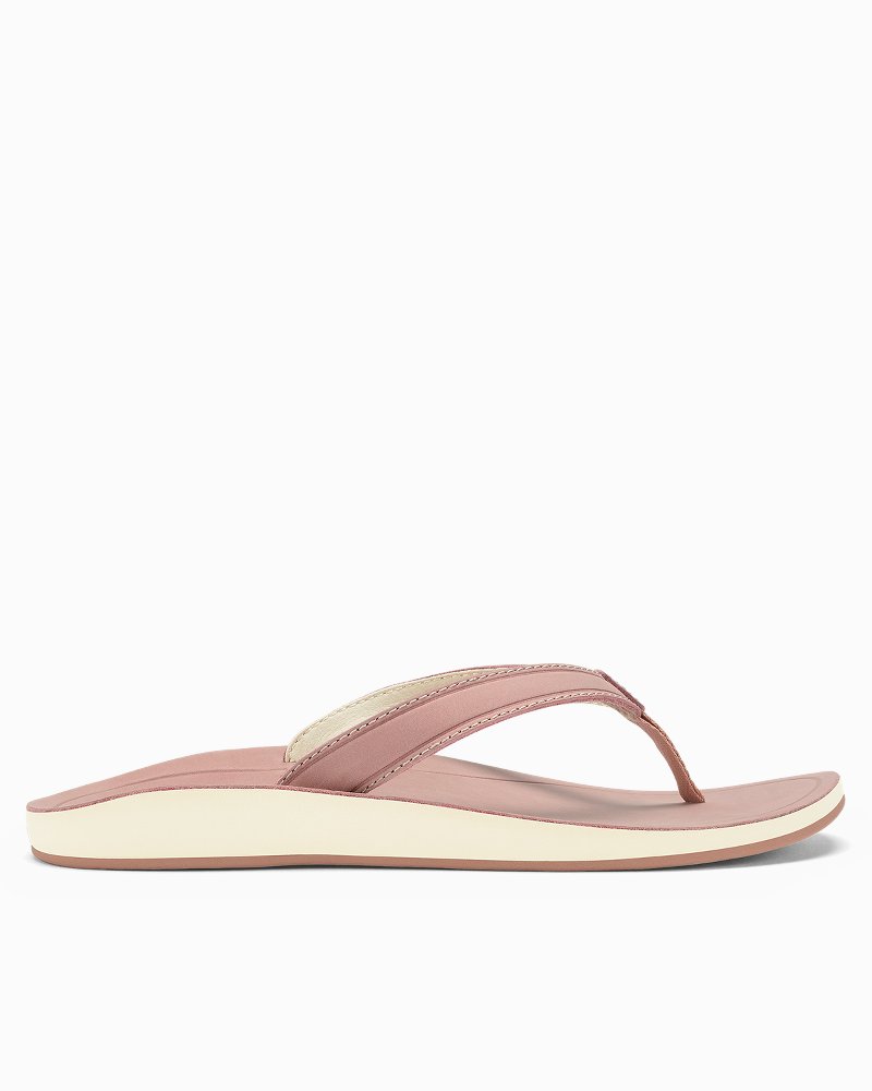 TommyBahama/20532_5207_main