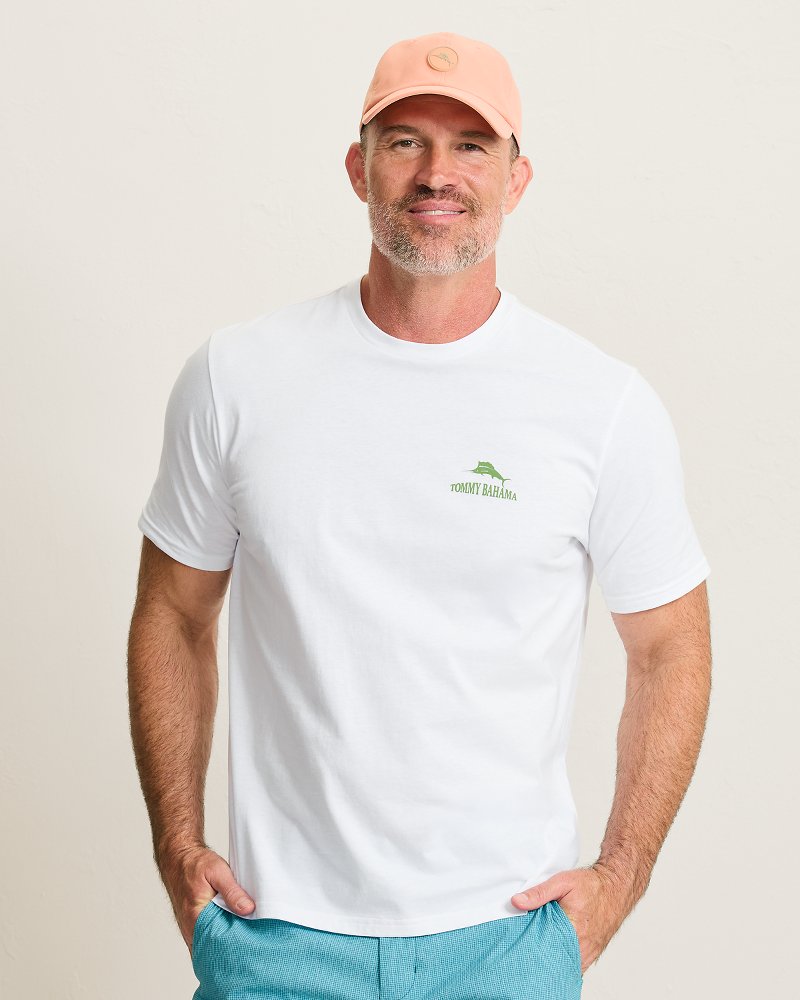 TommyBahama/ST227817_033_alt2