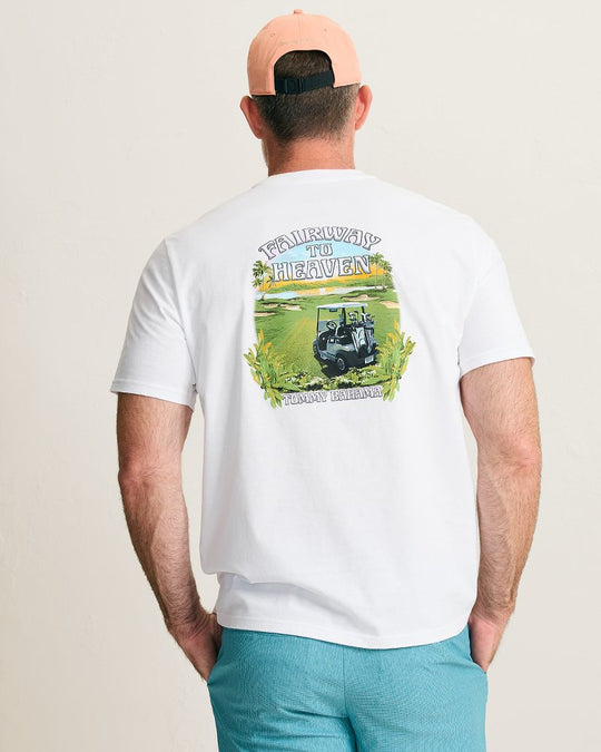 TommyBahama/ST227817_033_alt3