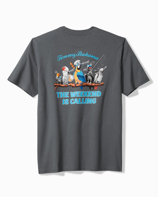 TommyBahama/ST228016_11424_main