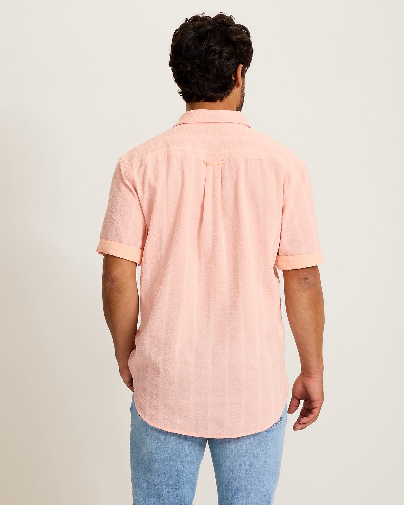 TommyBahama/ST327586_554_alt3