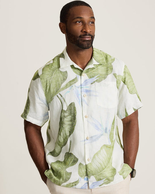 TommyBahama/ST327592_23430_main