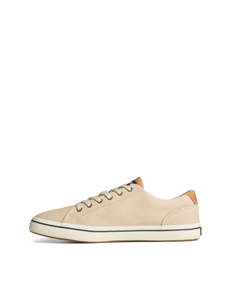 TommyBahama/STS25886_870_alt2