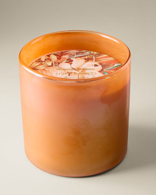 TommyBahama/TM1290_4810_alt1