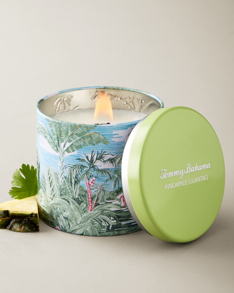 Candles | Tommy Bahama Australia